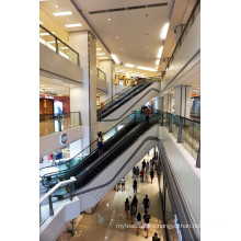 High Performance and Quality Parallel Escalator